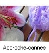 ACCROCHE-CANNES