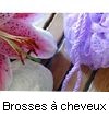 BROSSES A CHEVEUX