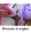 BROSSES A ONGLES