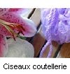 CISEAUX COUTELLERIE