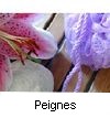 PEIGNES