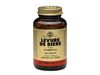 LEVURE DE BIRE 500 MG SOLGAR